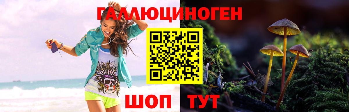 Галлюциногенные грибы Magic Shrooms Санкт-Петербург